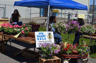 B3 POW blossom craft show.JPG