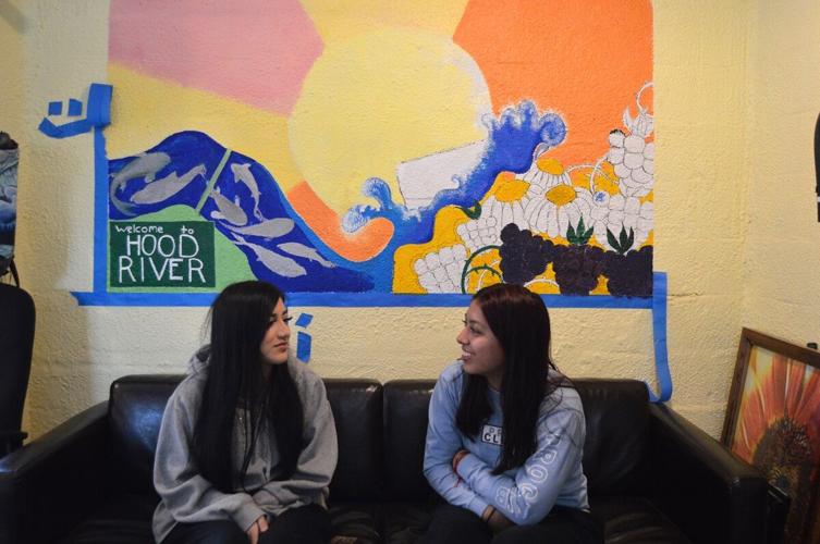 HRVHS Community Works