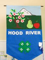 4-H results, art and photography, livestock judging