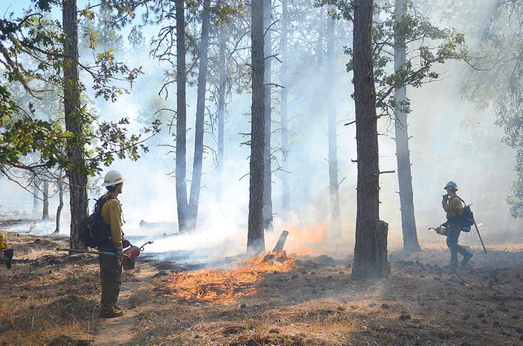 Second annual prescribed fire training held