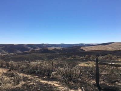 Crews contain wildfire near Condon Monday