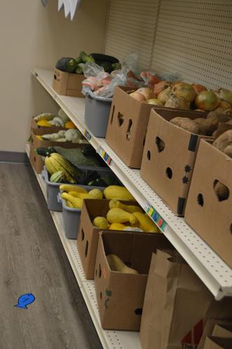 Food Bank garden feeds community