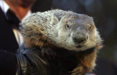 An end to Winters bite?