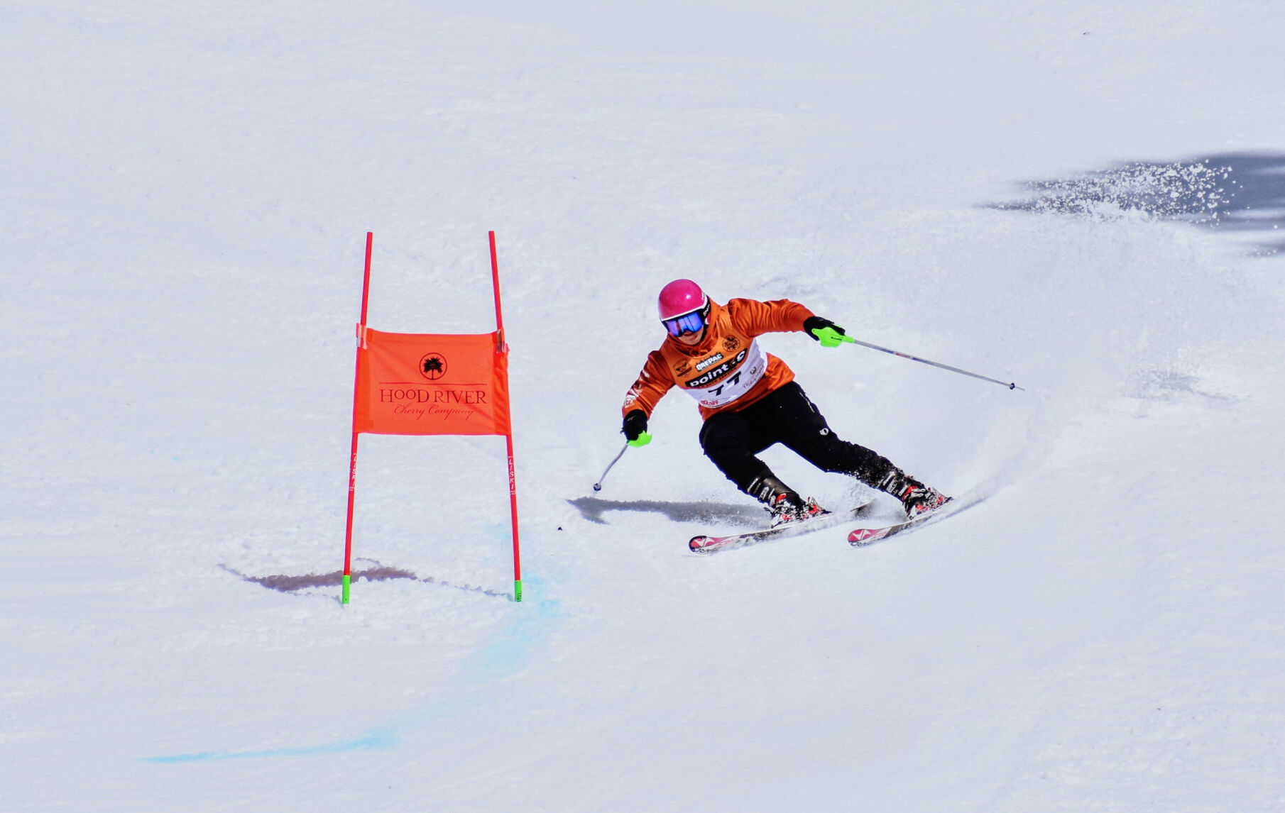 TDHS Boys Giant Slolam at state March 4