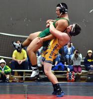 Wrestlers roll into busy stretch of season