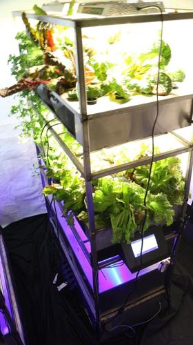 Eden Grow Systems tower example.jfif