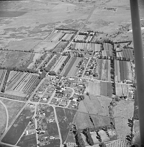 TD_history_mystery bw PRINT.jpg