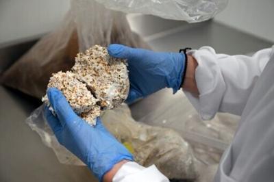 Belgian start-up Permafungi is pitching mushroom-based packaging as a fully biodegradable alternative to polystyrene and other plastic