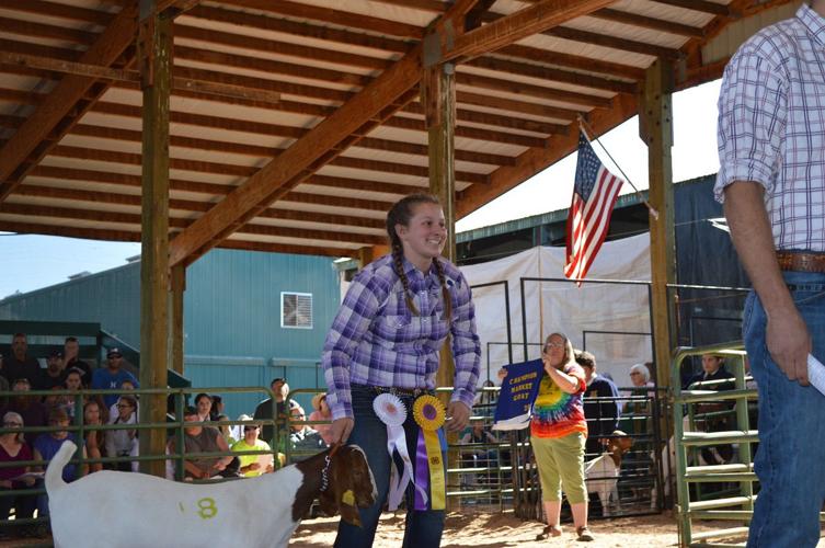2015 HR County Fair 4-H, Open Class results, completed