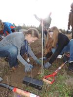 Trees of the Gorge embarks with Remembrance Grove gathering Nov. 9