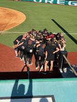 Remembering a perfect season - photos from family and friends of Riverhawk Softball
