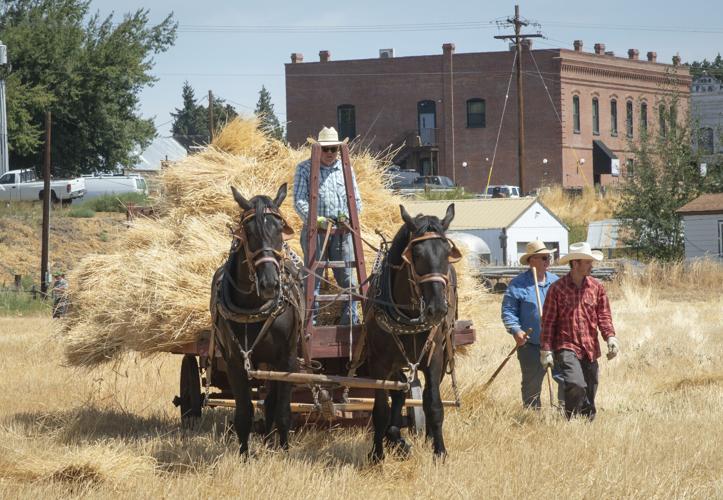 threshing_bee_2025_4.jpg