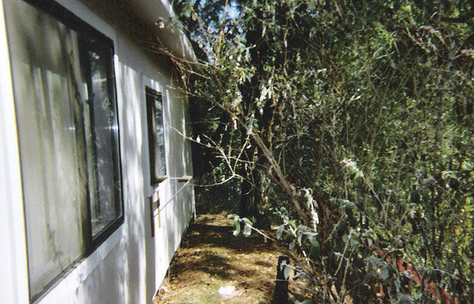 What lives in the Woods?