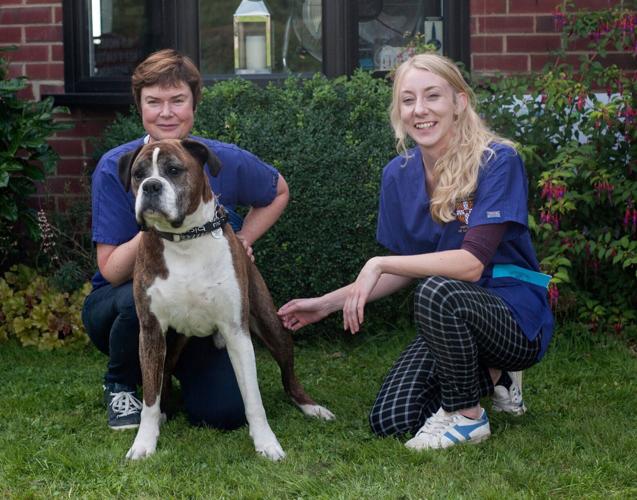 Twelve new “flat-faced” dog breeds identified as at risk of deadly condition BOAS