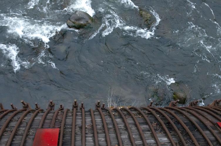 HR Pipe Trail _FRG9100.jpg