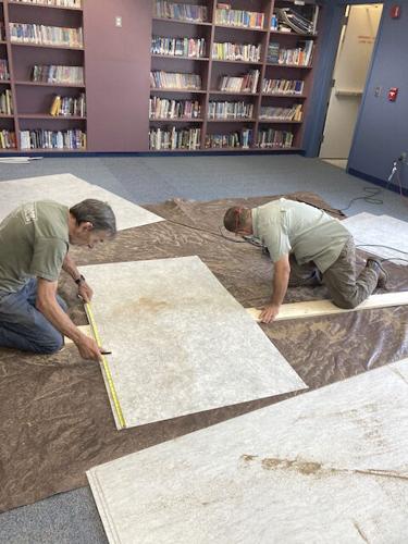 Lyle Lions library project