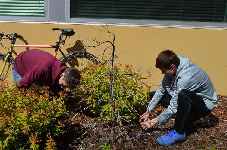 Campus Pride Work Day