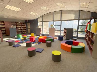 Lyle Lions library project