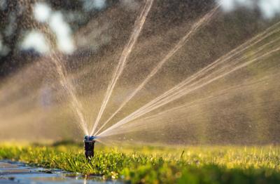 CGN Sprinkler