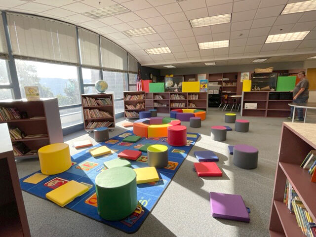 Lyle Lions library project