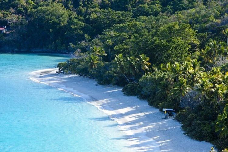 Trunk Bay, USVI