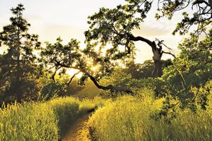 Friends announce winners of Gorge photo contest