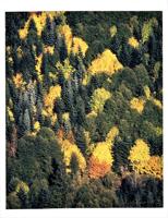 The Porch, Nov. 16 edition