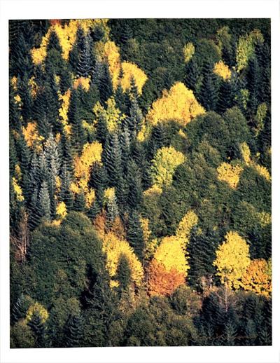 A2 porch winans tamarack.jpg