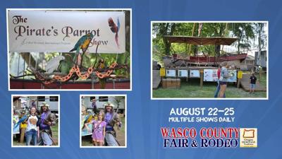 Pirates Parot Show