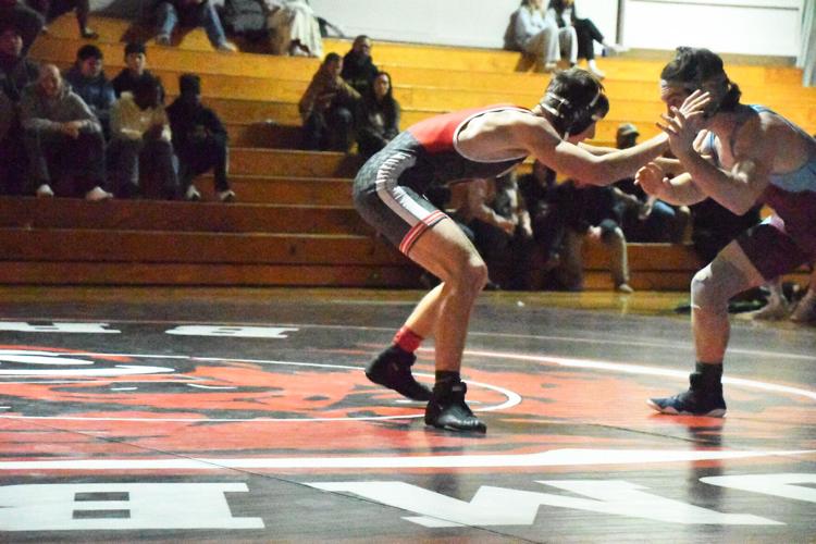 CVM_2140 Uffelmen.JPG