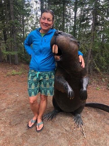 Beaver Power! Sense of Place Nov. 15: Exploring the intricate relationship  between humans and beavers in the Pacific Northwest, where research reveals  beavers as potential environmental allies. | Gorge Life |  columbiagorgenews.com