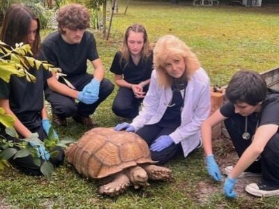 Solid Rock Community School Gives High School Students a Head Start in Veterinary and Animal-Care Careers