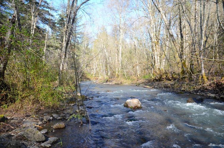 Resorting Rattlesnake Creek