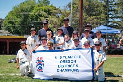 10U HRV Little League wins District-5 title
