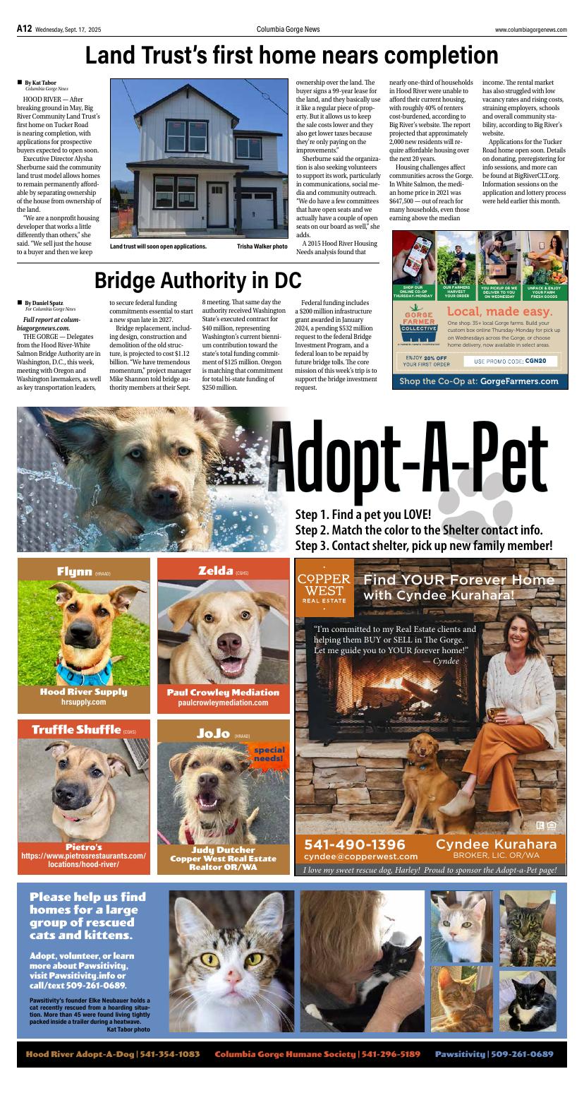 Page A-12