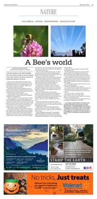 Page N35