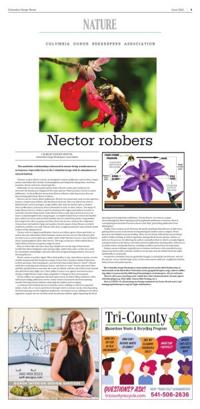 Page C05