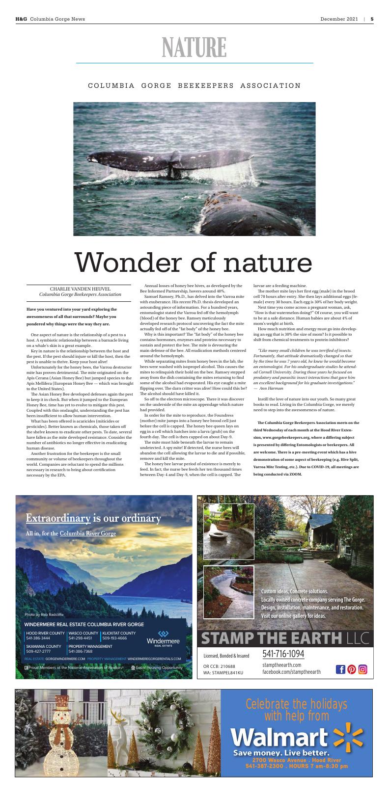 Page N37
