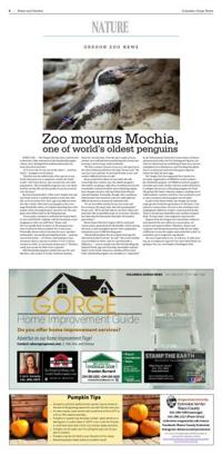 Page N34
