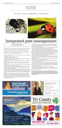 Page C06