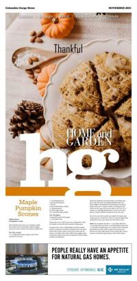 Page N31