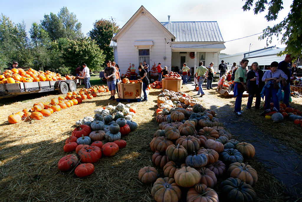 Hartsburg Pumpkin Festival: Home of pumpkin kings and novel crafts