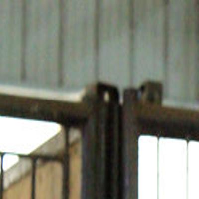 Happiness Is A Well Adjusted Horse Chiropractors Say Local Columbiamissourian Com