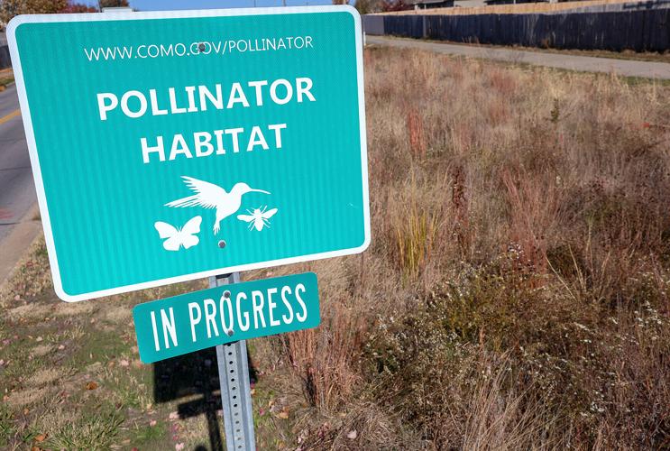 Pollinators Vip Pollinators have a new place to graze in northeast Columbia | Local ...
