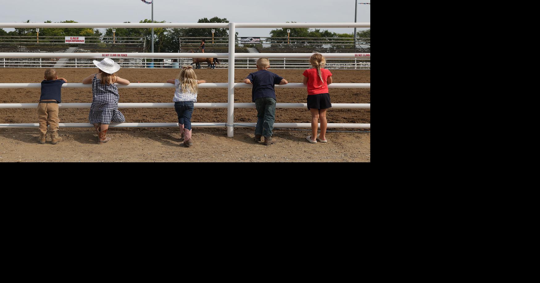 A group of children watch a horse performance