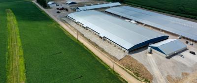 New CAFO law divides farmers over future of agriculture, environment in Missouri