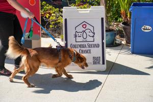 Columbia Second Chance Holds Annual Rescue Reunion to Celebrate Adoptions