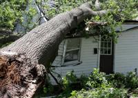 Columbia Man Totals Car Driving Home In Storm Finds Tree On House News Columbiamissourian Com