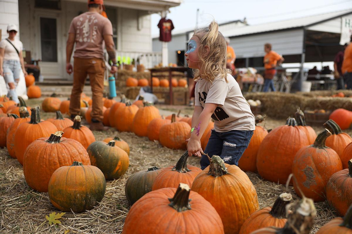 Generations of Hartsburg residents open front yards to annual pumpkin festival Local