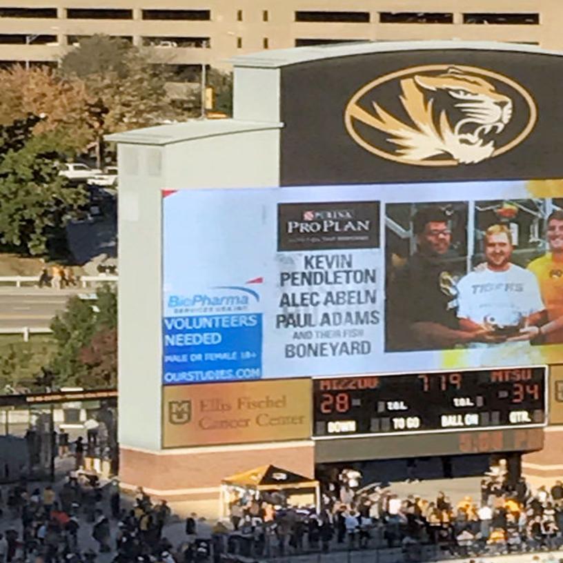 Players Make Video Board With Photo Of Boneyard Betta Fish